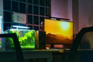 What Distinguishes OLED Screens from LED Screens?