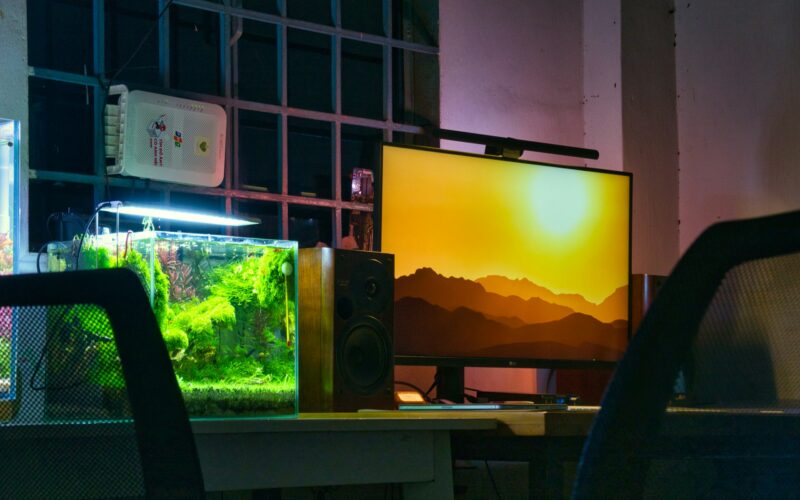 What Distinguishes OLED Screens from LED Screens?